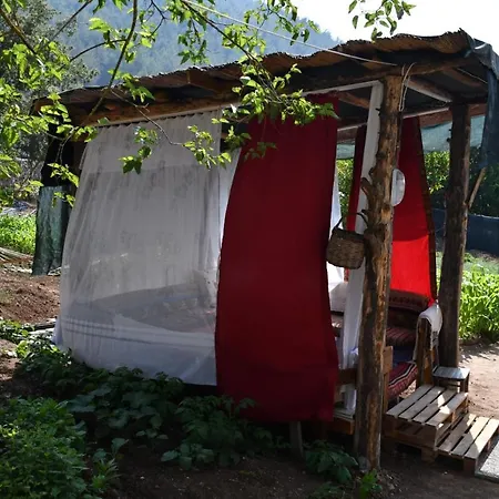 Traditional Greek Village House * Fethiye